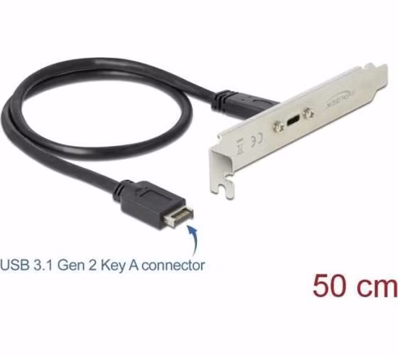 Delock USB 3.1 Gen 2 Záslepka slotu s portem 1 x USB Type-C™