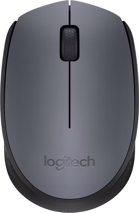 Logitech myš Wireless Mouse M170, bezdrátová, optická, černá-šedá, 1000dpi