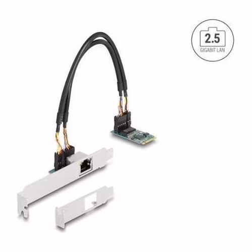 Delock Převodník M.2 Key B+M 1 x RJ45 2,5 Gigabit LAN