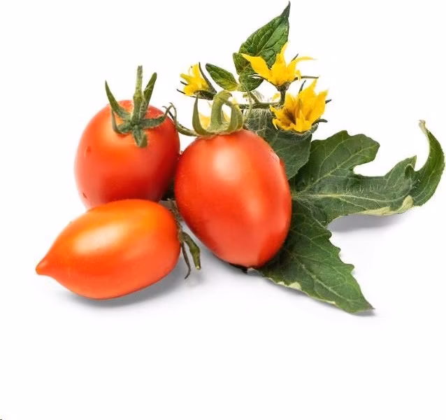 Véritable Lingot Červené mini rajče