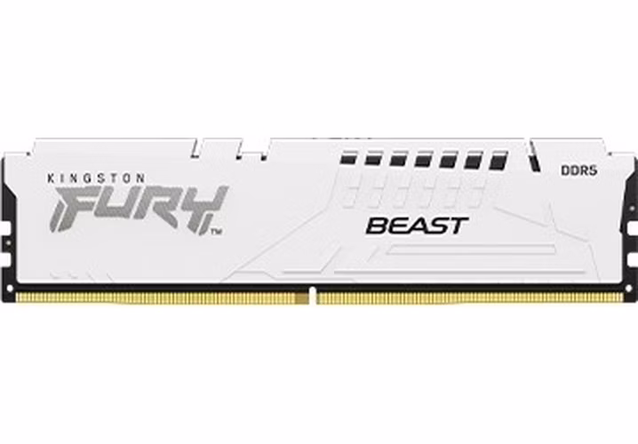 Kingston FURY Beast EXPO/DDR5/32GB/6000MHz/CL36/1x32GB/White