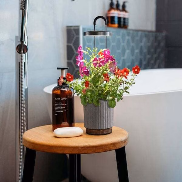 Smart Garden 1 Hydrovase, šedá
