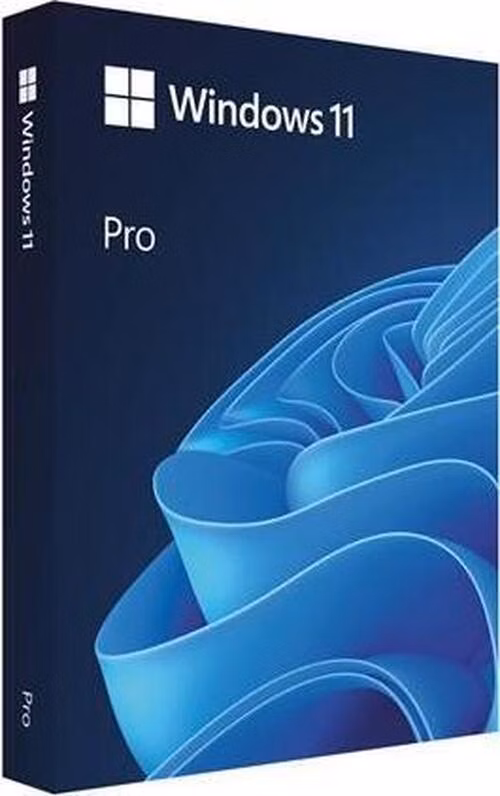 Win Pro FPP 11 64-bit CZ USB