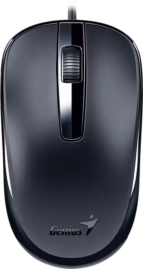 Genius DX-120 Myš, drátová, optická, 1200DPI, 3 tlačítka, USB-C, černá