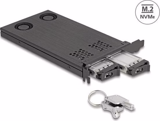 Delock karta PCI Express x16 Mobilní přihrádka na 2 x SSD M.2 NVMe – rozvětvení