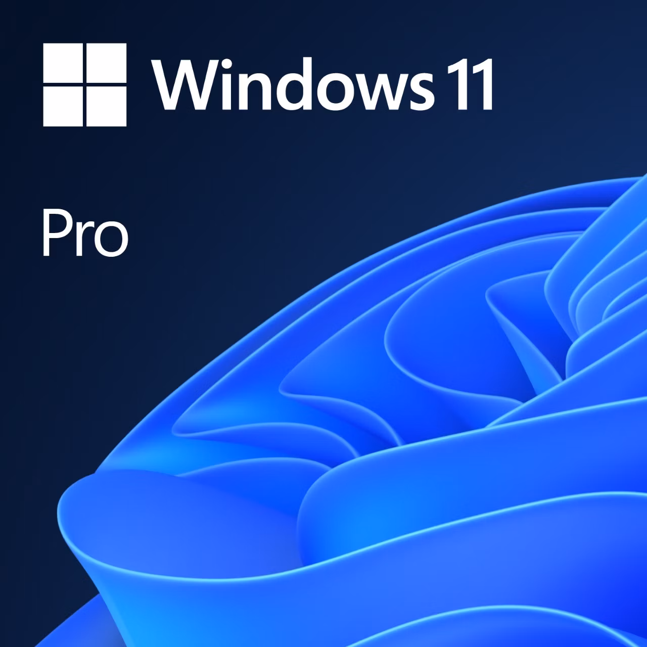 Microsoft Windows 11 Pro 64-bit CZ OEM 1pk DVD (lze downgrade na 10 Pro)