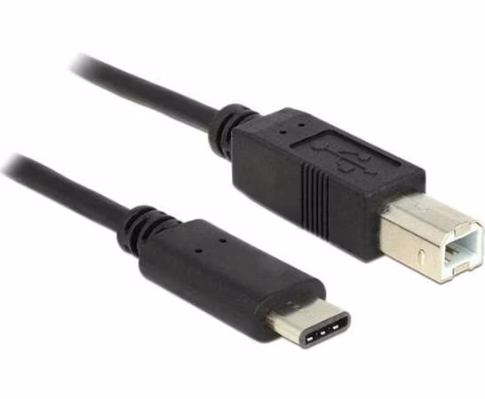 Delock Kabel USB Type-C 2.0 samec > USB 2.0 Typ-B samec 0,5 m černý