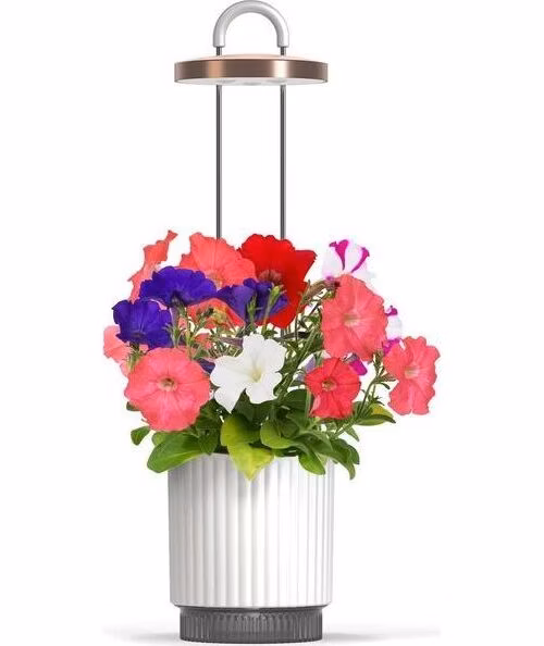 Smart Garden 1 Hydrovase, biela