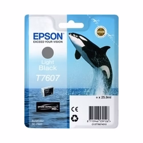Epson inkoustová náplň/ C13T76074010/ Light black