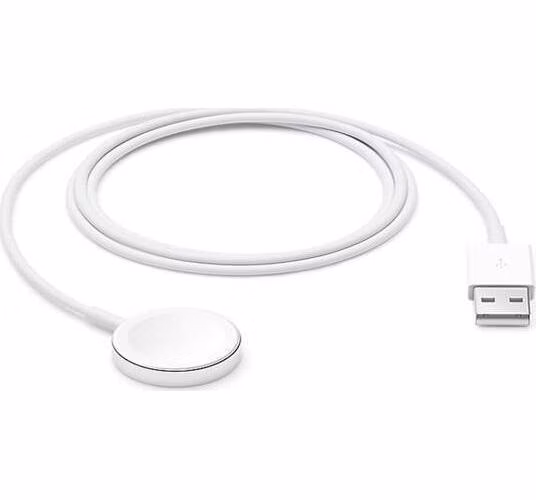 Apple Watch magnetický nabíjecí kabel (1m)