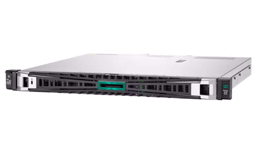 HPE PL DL20g11 6333P (3.1G/6C12T) 1x32G (P64339) NS204 4SFF VROC 1x800W 4x1G NBD333