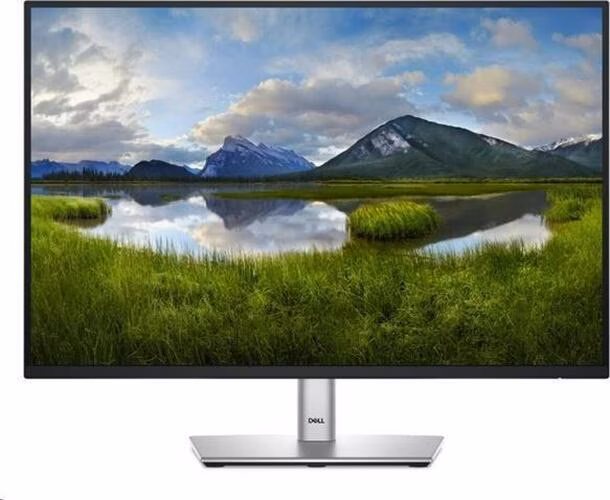 Dell 24 USB-C Hub - P2425E 23,8 WUXGA (1920x1080)/16:10/100Hz/5ms/USB-C/DP/LAN/PIVOT/3R