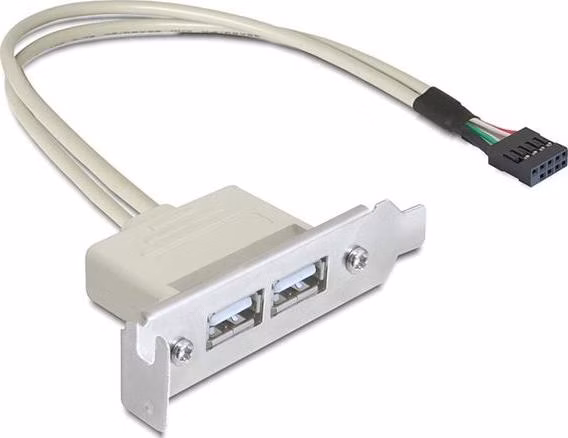 Delock záslepka do slotu USB 2.0 low profile 2 porty