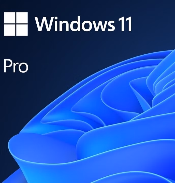 Windows 11 Pro 64Bit CZ OEM