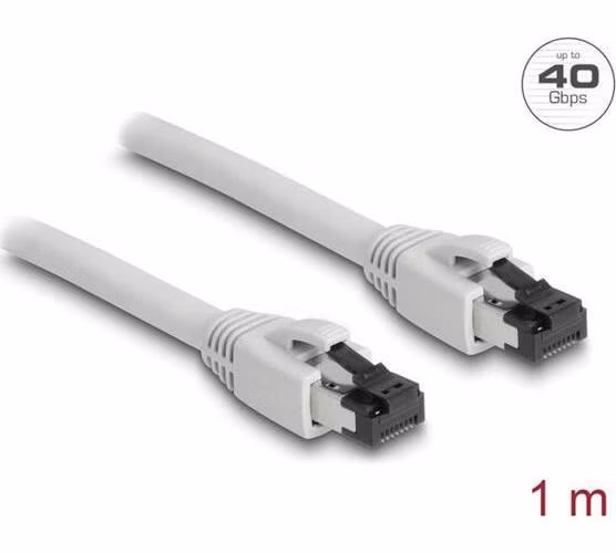 Delock Síťový kabel RJ45 Cat.8.1 S/FTP, délky 1 m, šedá