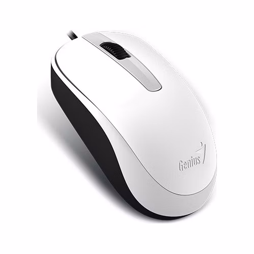 GENIUS DX-120/Kancelářská/Optická/1 200 DPI/Drátová USB/Bílá