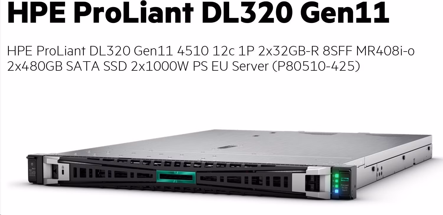 HPE PL DL320g11 4510 (2.4/12C) 2x32G (p64706) 2x480G (P40497) MR408i-o 8SFF 2x1000W 2x1Gb Smart Choice