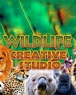 ESD Wildlife Creative Studio
