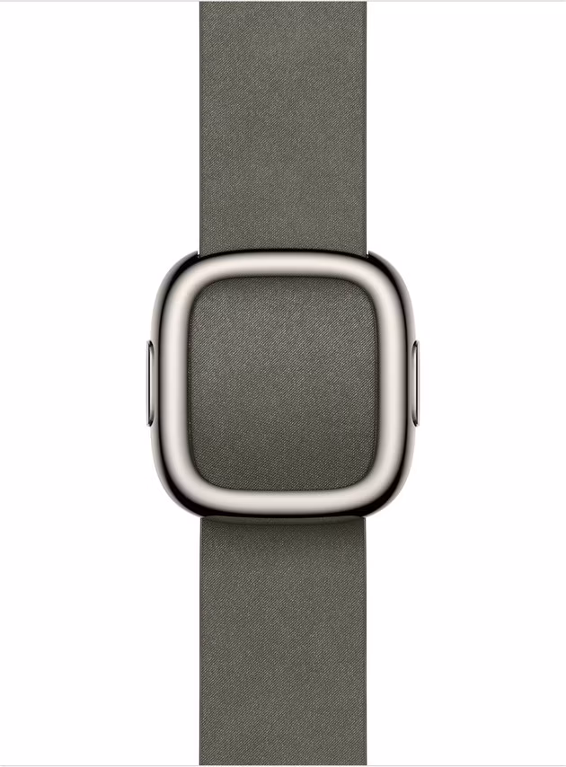 Watch Acc/42/Sage Gray Modern Buckle - L