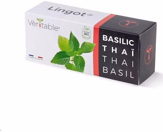 Véritable Lingot Thajská bazalka - BIO