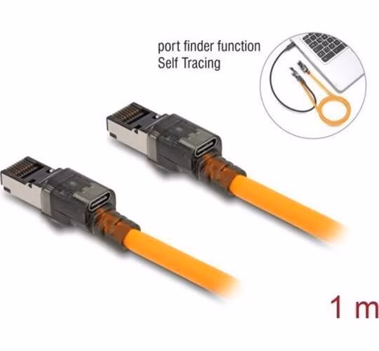 Delock Síťový kabel RJ45 s funkcí vyhledávání portů USB Type-C™, samosledovací, Cat.6A, S/FTP, 1 m, oranžový