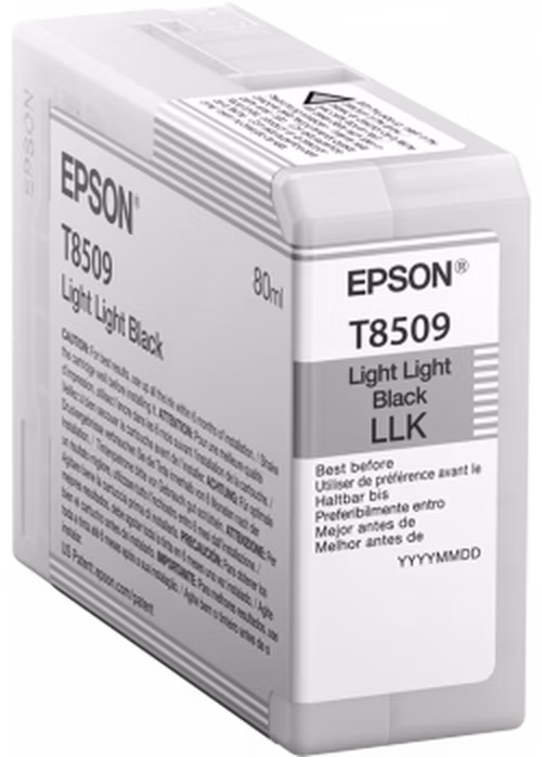 Epson Singlepack Photo Light Light Black T850900 UltraChrome HD ink 80ml