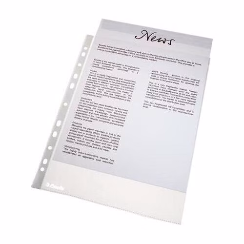 LEITZ Plastové kapsy Esselte Economy A4, OP, 43 mic, box 100 ks