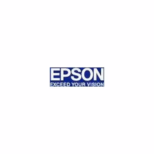 EPSON cartridge T5802 cyan (80ml)