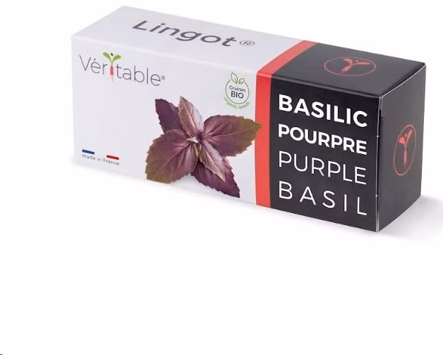 Véritable Lingot Fialová bazalka - BIO