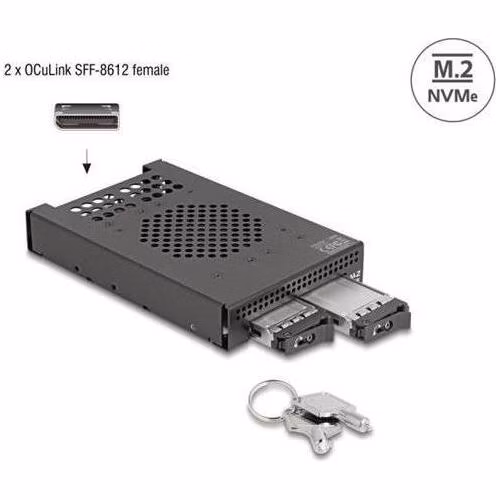 Delock 3.5” Mobilní rack pro 2 x SSD M.2 NVMe s konektorem OcuLink SFF-8612