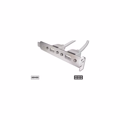 Digitus záslepka slotu s 2 USB porty + kabel 2x5pin 0,25m