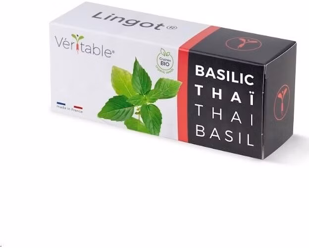 Véritable Lingot Tymián - BIO