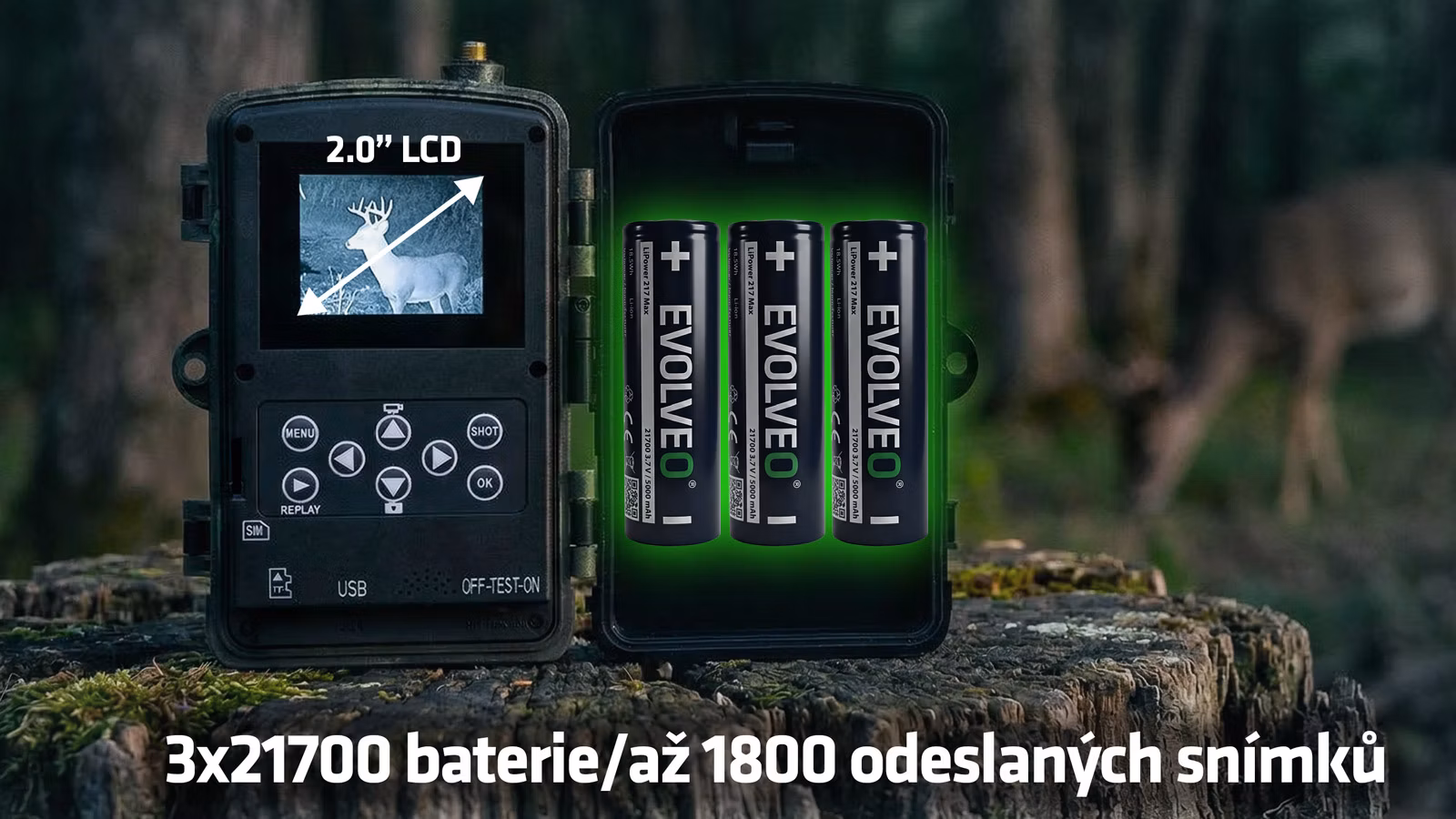 c59448efd2d991a431ebc7d75009b922