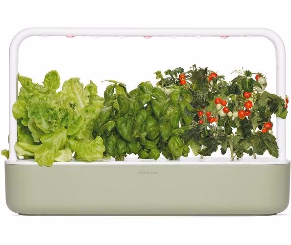 Smart Garden 9, sage