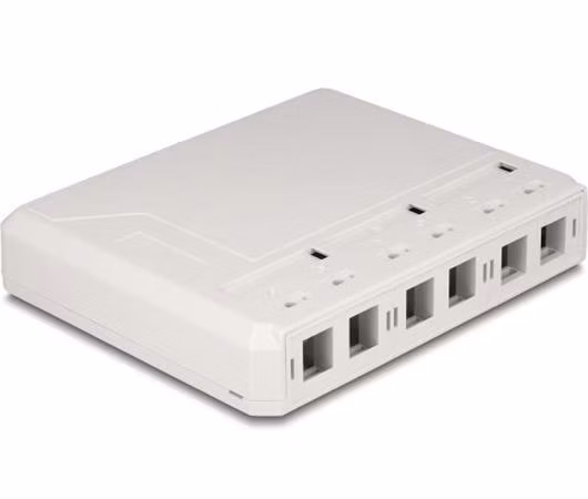 Delock Na povrch montovaná krabice Keystone, 6-ti portová, bílá