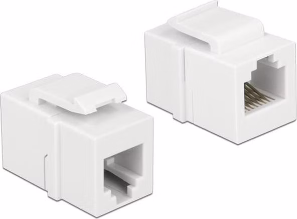 Delock Keystone Modul RJ12 samice > RJ12 samice Cat.3 bílý