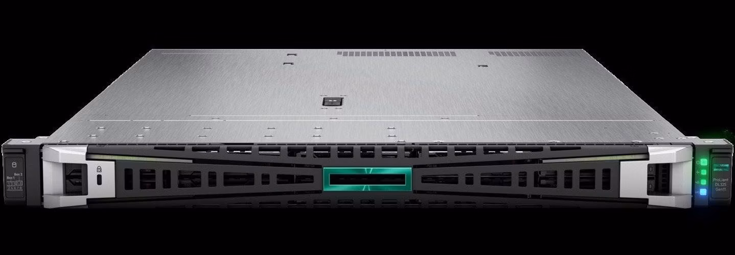 HPE PL DL325g11 AMD Epyc 9115 (2.6/16C) 2x32G (P64985) 2x1000W MR408i-o/4G 8SFF 4p1Gocp Smart Choice