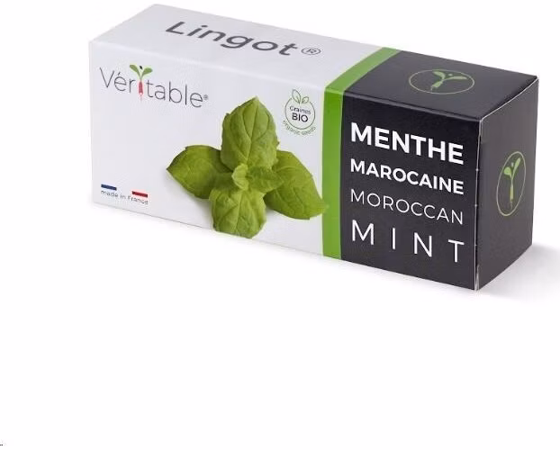 Véritable Lingot Marocká máta - BIO