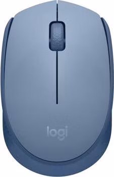 Logitech® M171 Wireless Mouse BLUE-GREY