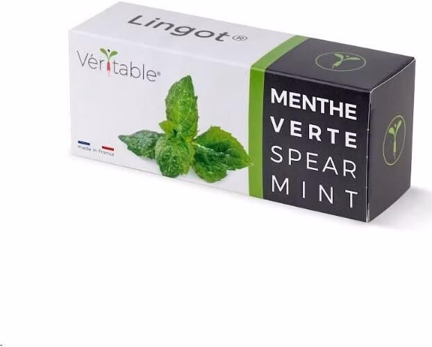 Véritable Lingot Máta klasnatá