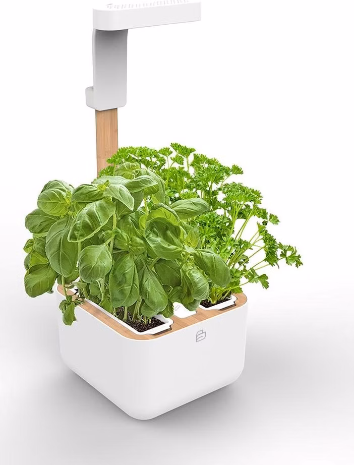 Véritable Botaneo - Automatický květináč + 2 bylinkové náplně