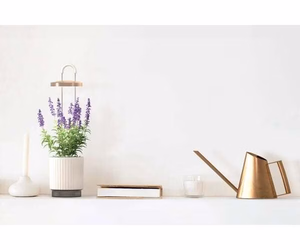 Smart Garden 1 Hydrovase, šedá