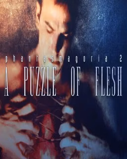 ESD Phantasmagoria 2 A Puzzle of Flesh