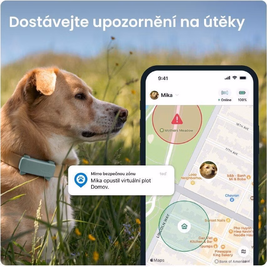 ddebed67534608dccf8d83fa9d33749d