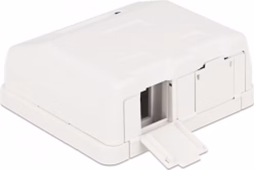 Delock Keystone Surface Mounted Box 2 Port with dust cover
