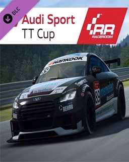 ESD RaceRoom Audi Sport TT Cup 2015