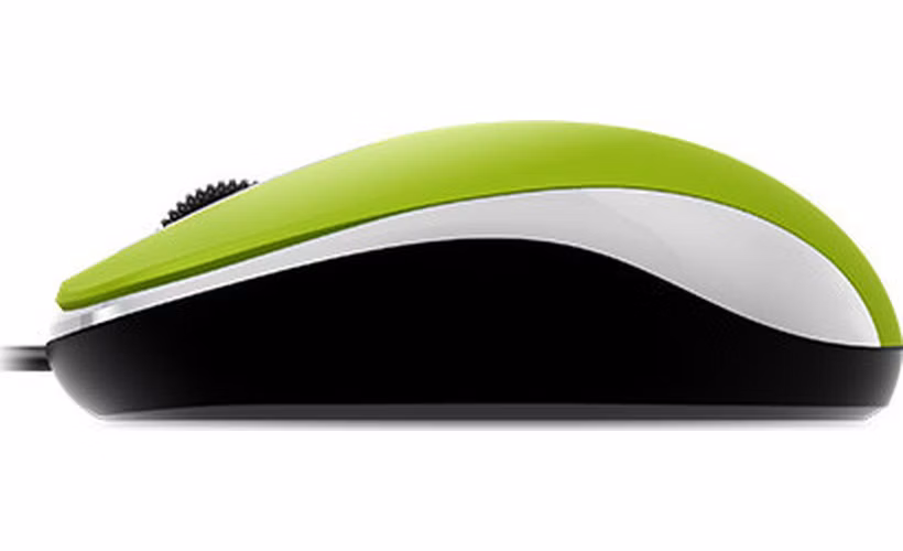 GENIUS DX-110/Kancelářská/Optická/1 000 DPI/Drátová USB/Zelená