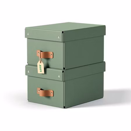 LEITZ úložný box, karton, velikost S, 2 ks zelený