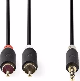 Nedis CABW22200AT100 - Stereofonní Audio Kabel | 3,5mm Zástrčka - 2x RCA Zástrčka | 10 m | Antracit