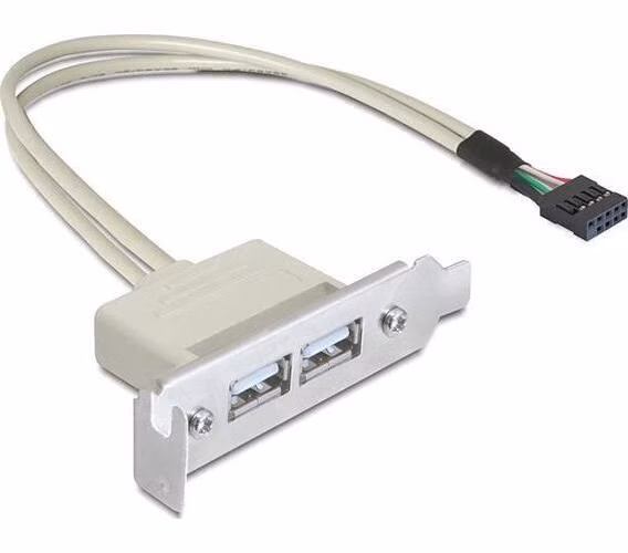 Delock záslepka do slotu USB 2.0 low profile 2 porty